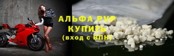 ECSTASY Каменка