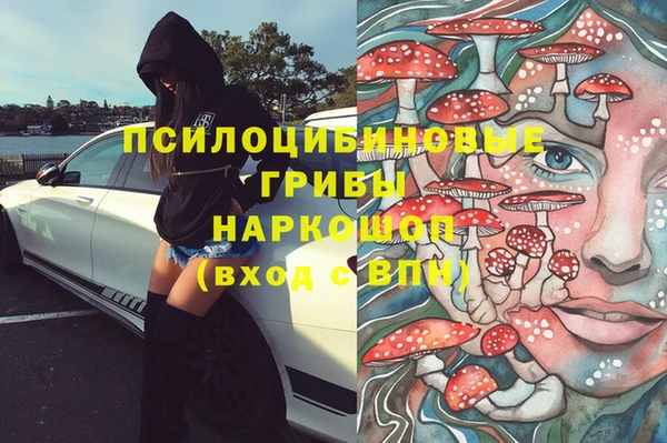ECSTASY Каменка