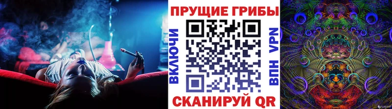 Купить закладки  Борзя  Псилоцибиновые грибы Psilocybine cubensis 